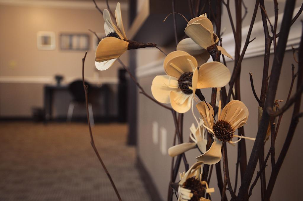 Belvedere Inn Schenectady - Albany Room photo